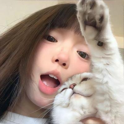 哈利玛之路